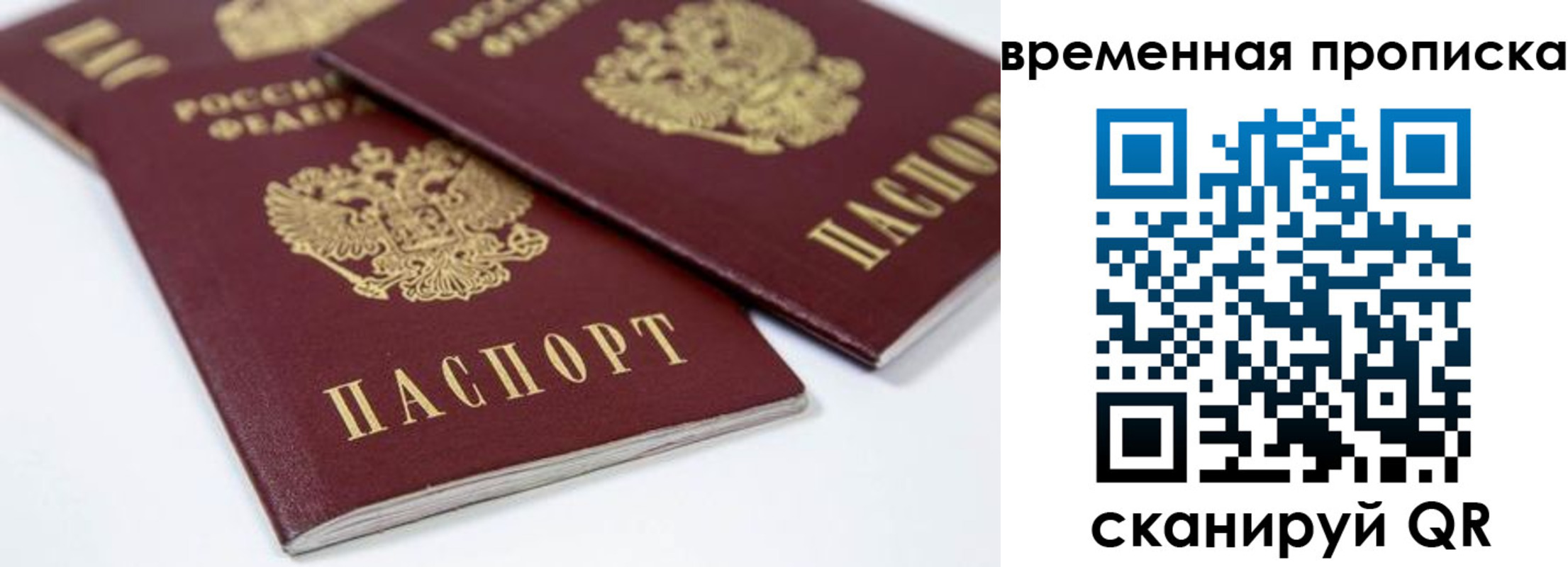 прописка для школы в Таганроге